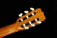 Ramirez Guitarra del Tiempo Spruce