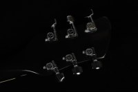 Rickenbacker 360 - JG