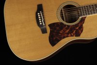 Takamine CRN-TS1 Thermal Top