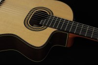 Takamine DH90 Hirade