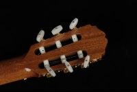 Takamine DH90 Hirade