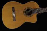 Takamine EC132SC
