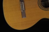 Takamine EC132SC