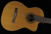 Takamine EC132SC
