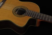 Takamine EC132SC