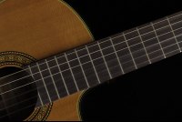 Takamine EC132SC