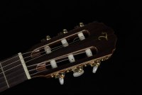 Takamine EC132SC