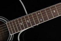 Takamine EF341SC Legacy Series