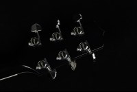 Takamine EF341SC Legacy Series