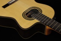 Takamine TH90 Hirade