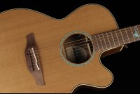 Takamine TSF40C Legacy Series Santa Fe