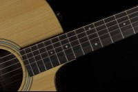 Taylor 210ce Plus