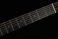 Taylor 210ce Plus