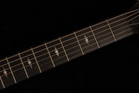 Taylor 312ce 12-Fret