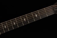 Taylor 312ce 12-Fret