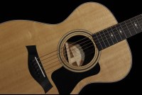 Taylor 312e