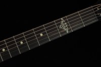 Taylor 314c The Last of Us Replica