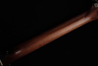 Taylor 314c The Last of Us Replica