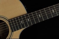 Taylor 314ce