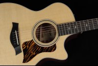 Taylor 314ce