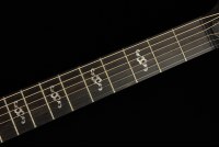 Taylor 314ce LTD V-Class Quilted Sapele / Torrified Sitka Spruce