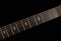 Taylor 314ce V-Class Bracing