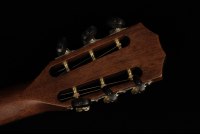 Taylor 322ce 12-Fret V-Class Bracing