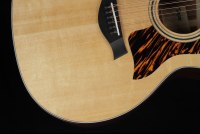 Taylor 354ce