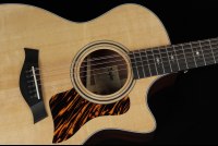 Taylor 354ce