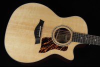 Taylor 354ce
