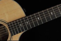 Taylor 354ce