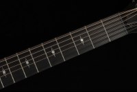 Taylor 354ce