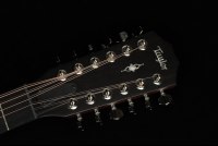 Taylor 354ce
