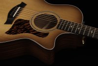 Taylor 50th Anniversary 314ce