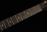 Taylor 50th Anniversary 314ce