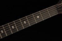 Taylor 50th Anniversary Builder's Edition 314ce - KB