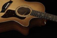 Taylor 514ce Urban Ironbark