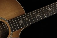 Taylor 514ce Urban Ironbark