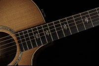 Taylor 514ce Urban Ironbark