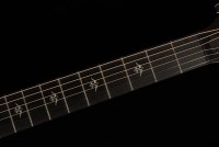 Taylor 514ce Urban Ironbark