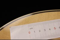 Taylor 818e V-Class Bracing