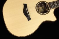 Taylor 914ce V-Class Bracing