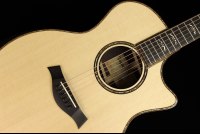 Taylor 914ce V-Class Bracing