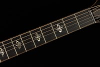 Taylor 914ce V-Class Bracing