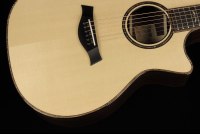 Taylor 914ce V-Class Bracing