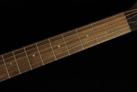 Taylor AD27e Mahogany