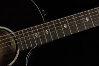 Taylor Builder's Edition 324ce