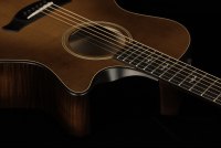 Taylor Builder's Edition 614ce - WHB