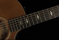 Taylor Builder's Edition 614ce - WHB