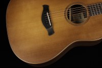 Taylor Builder's Edition 717e - WHB